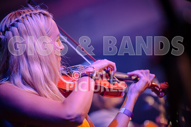 Buffalo Huddleston-619 - BUFFALO HUDDLESTON