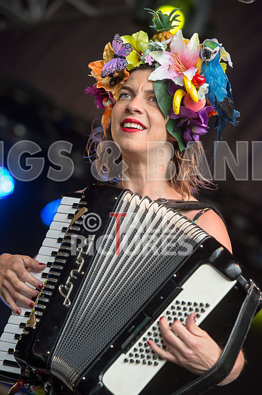 Molotov Jukebox-35 - MOLOTOV JUKEBOX