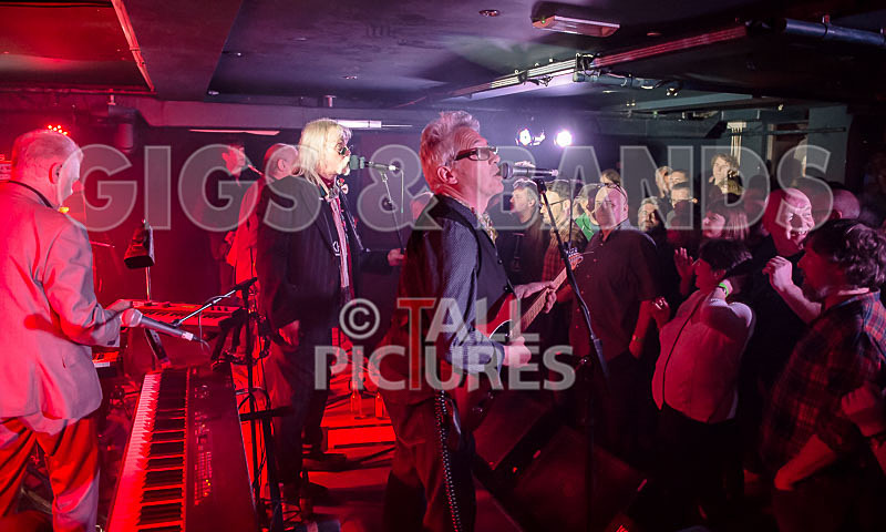 The Blockheads-56 - THE BLOCKHEADS