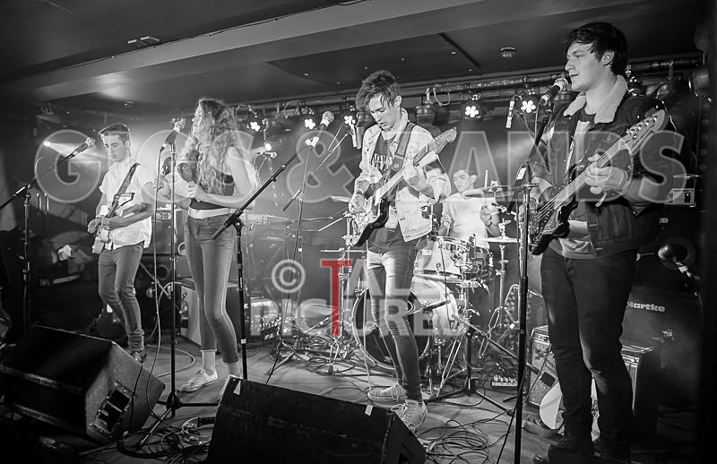 Francisco-90 - FRANCISCO