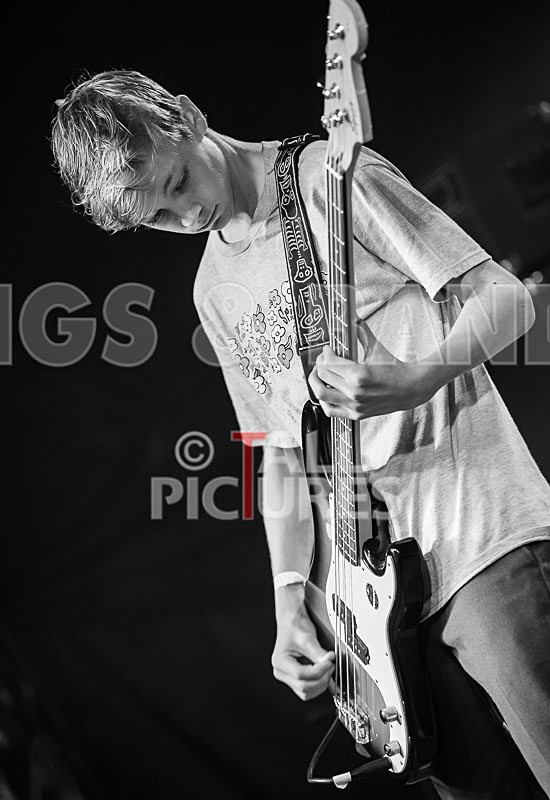 Cosmic Fish-48 - COSMIC FISH