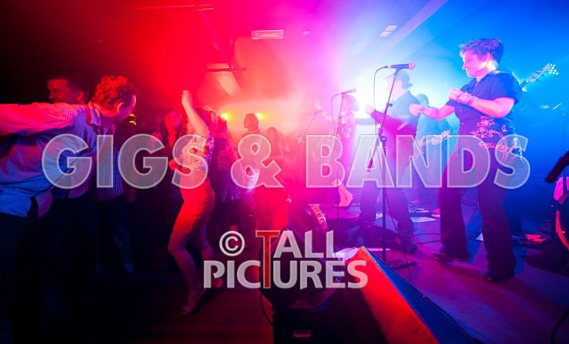 King Rat and the Soul Cats-24 - KING RAT & THE SOUL CATS