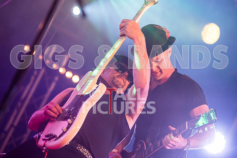 Peppered Ant Legs-223 - PEPPERED ANT LEGS