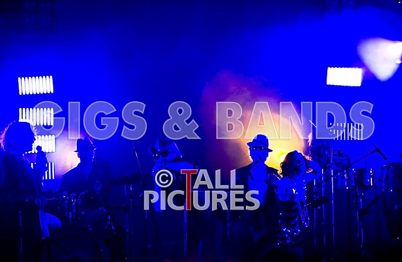 Vale-Earth-81 - VALE EARTH FAIR 2008