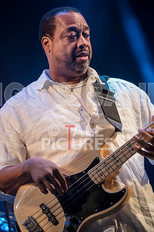 Chic Featuring Nile Rodgers-36 - CHIC FEATURING NILE RODGERS