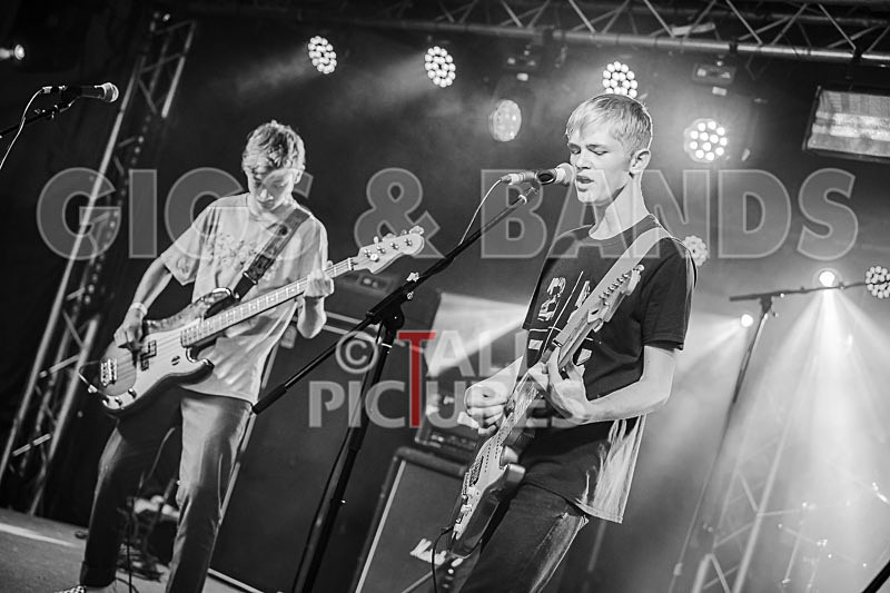 Cosmic Fish-42 - COSMIC FISH