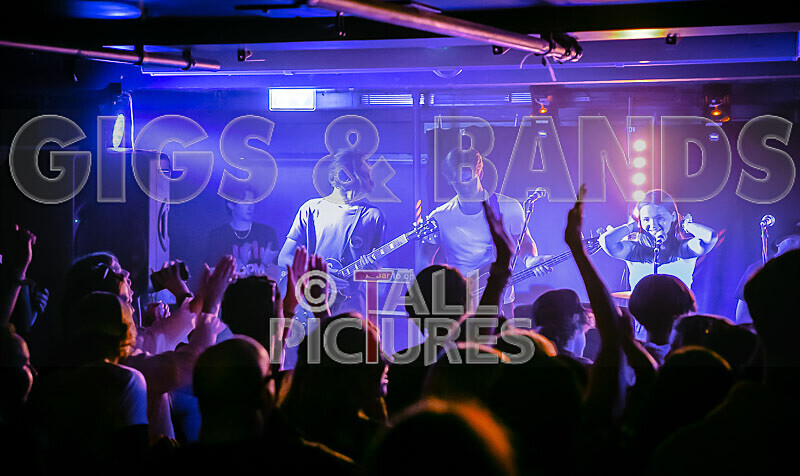 Bad Flower-7 - BAD FLOWER