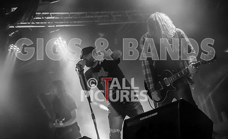 Viking Skull-37 - VIKING SKULL