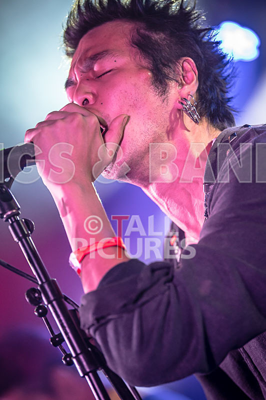 Morllyheads-12 - MORLLYHEADS