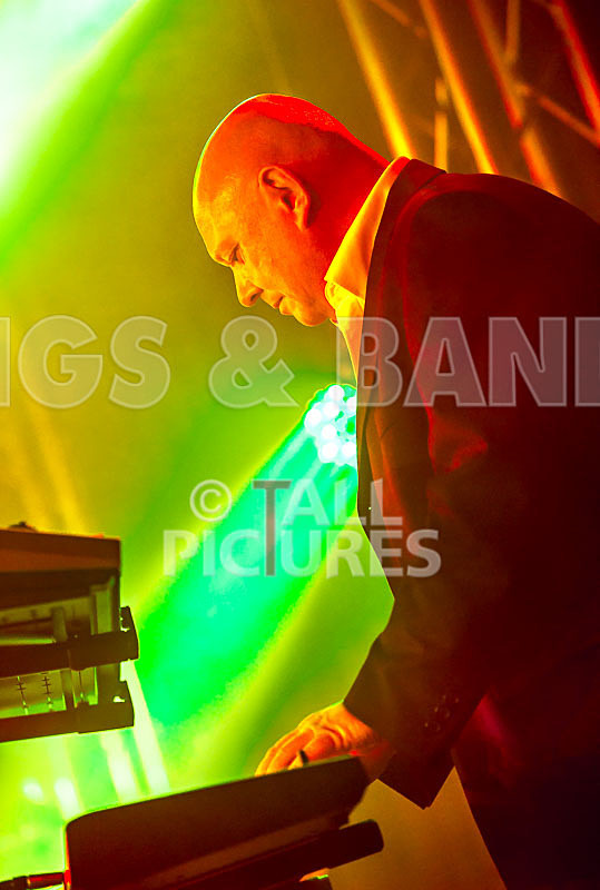 King Rat  the Soul Cats-400 - KING RAT AND THE SOUL CATS