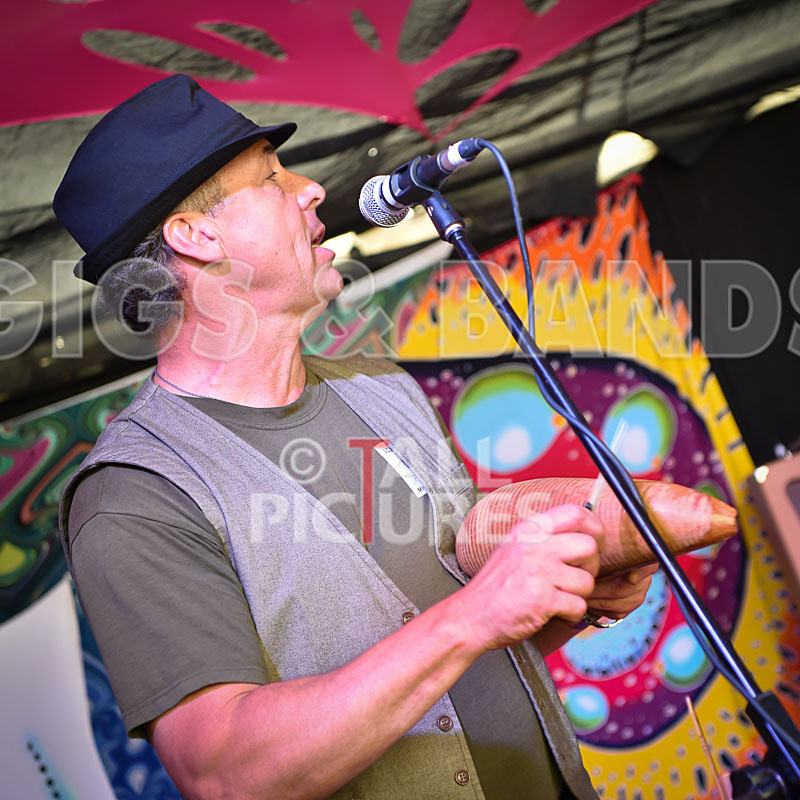 Seigneur Hedge Veg-6 - SEIGNEUR HEG VEG