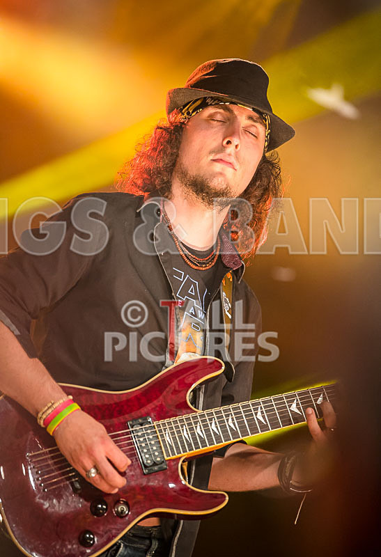 Trilobite-14 - TRILOBITE