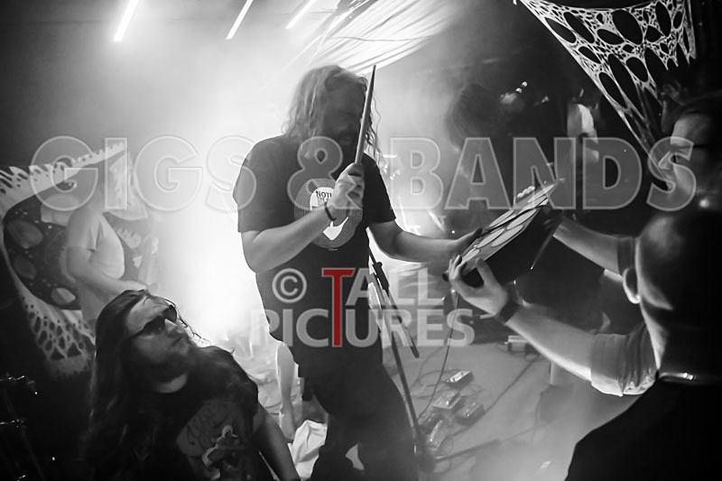 Mechanical Lobster-9 - MECHANICAL LOBSTER