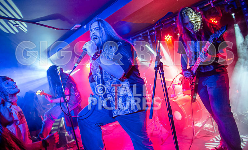 Stone Em All-199 - STONE EM ALL