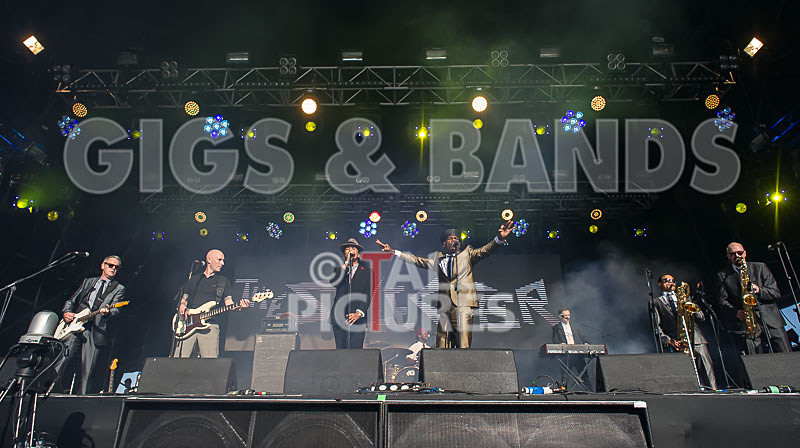 The Selecter-37 - THE SELECTER