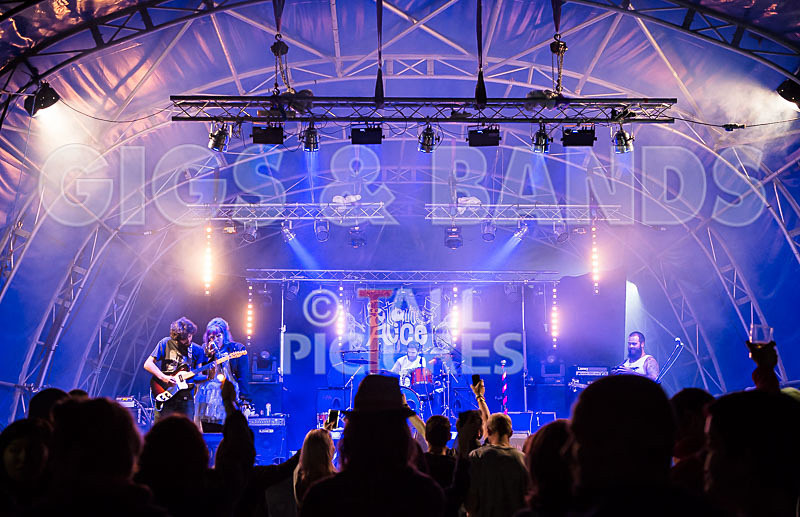 Static Alice-502 - STATIC ALICE