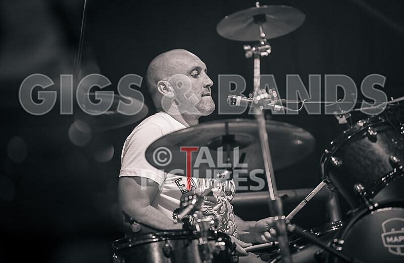 Buffalo Huddleston-658 - BUFFALO HUDDLESTON