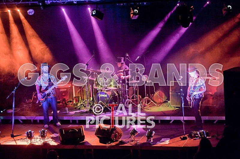 Peppered Ant Legs-48 - PEPPERED ANT LEGS at RoA-3