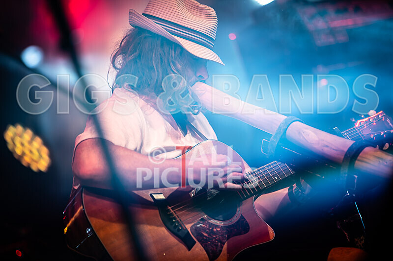 Buffalo Huddleston-686 - BUFFALO HUDDLESTON