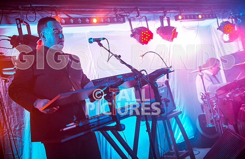 The Pulse-77 - THE PULSE