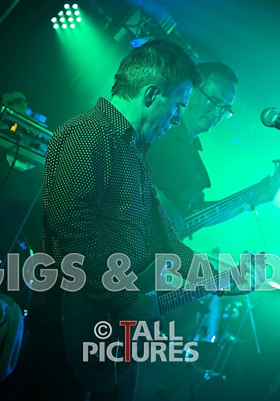 King Rat and the Soul Cats-57 - KING RAT & THE SOUL CATS