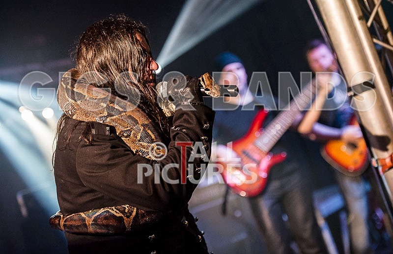 Gallus Cooper-52 - GALLUS COOPER