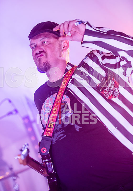 The Smooth Hounds-22 - THE SMOOTH HOUNDS