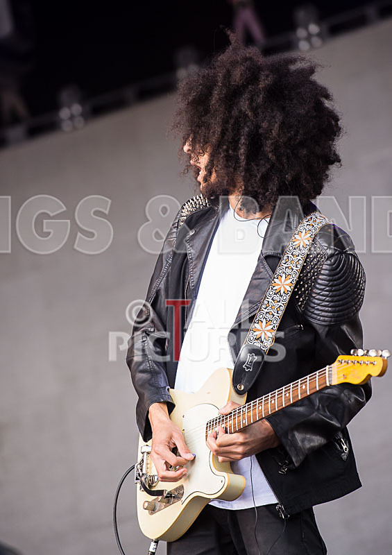 Diversity-37 - DIVERSITY