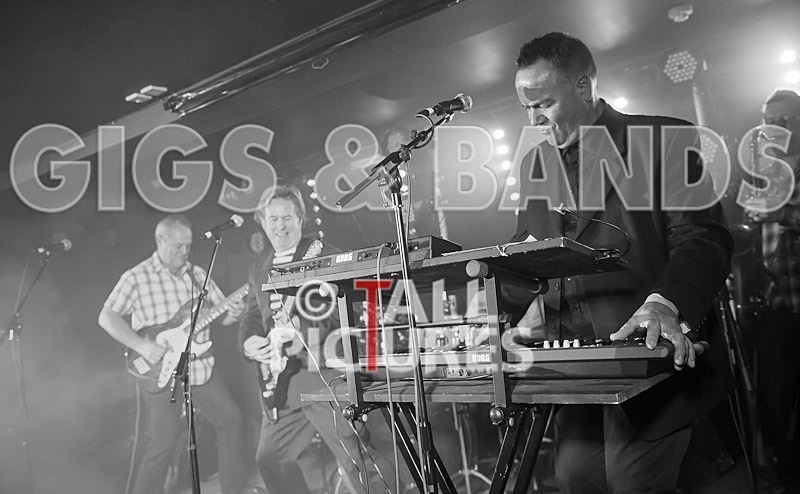 The Pulse-13 - THE PULSE