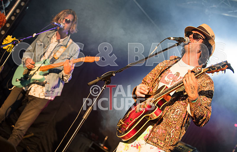 Surfin Birds-17 - SURFIN' BIRDS