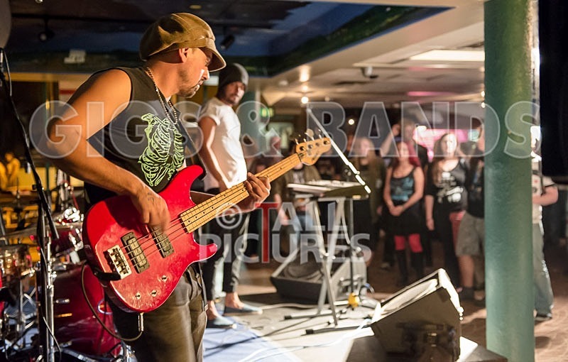 Harlequin Knights-56 - HARLEQUIN KNIGHTS