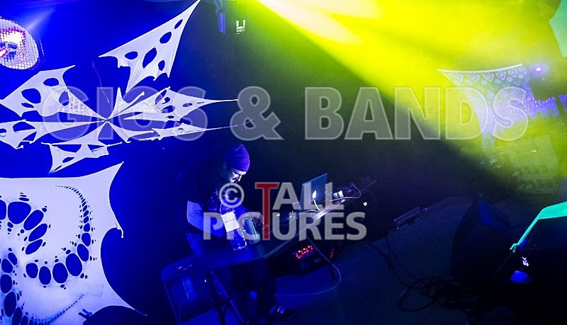 Peace Tent-11 - THE PEACE TENT