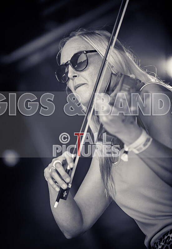 Buffalo Hudleston-717 - BUFFALO HUDLESTON