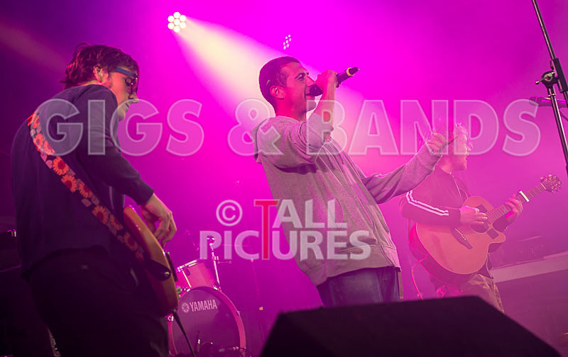 Buffalo Huddleston-214 - BUFFALO HUDDLESTON