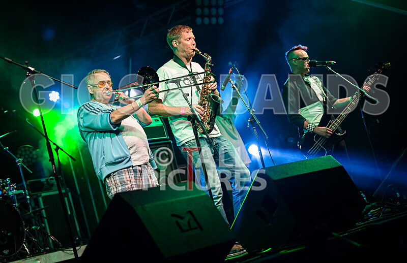 The Risk-451 - THE RISK