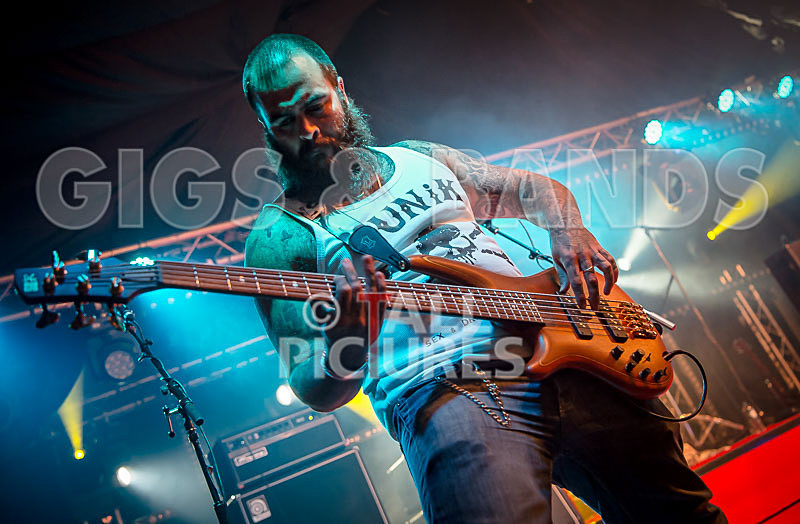 Static Alice-439 - STATIC ALICE