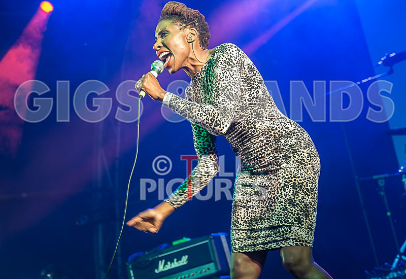 The Delegators-3 - THE DELEGATORS