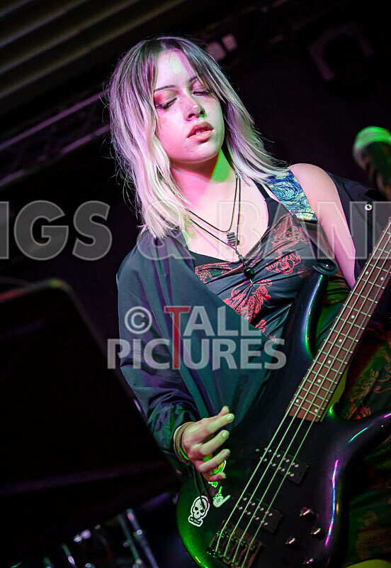 Road Kill Rubber Duckies-15 - ROAD KILL RUBBER DUCKIES