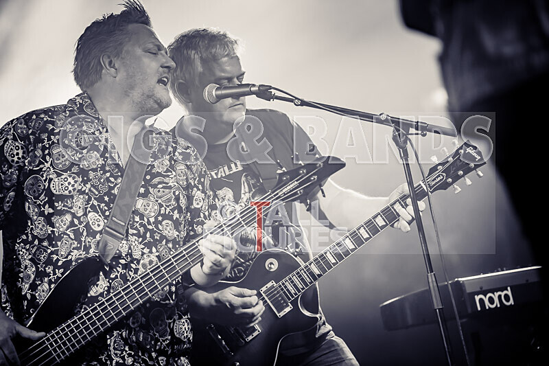 Butterfield 2022-51 - BUTTERFIELD