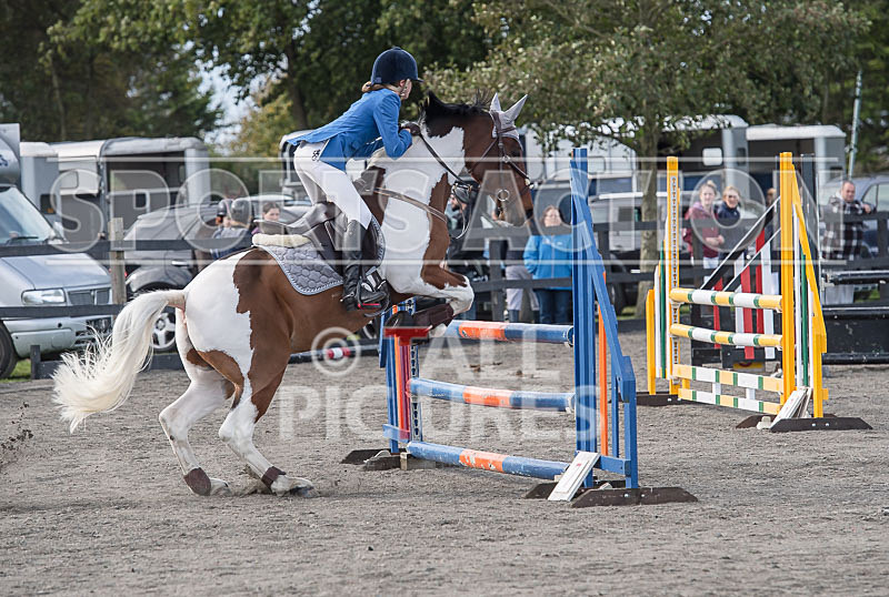 North Showjumping_2016-91 - NORTH SHOW SHOWJUMPING 2016
