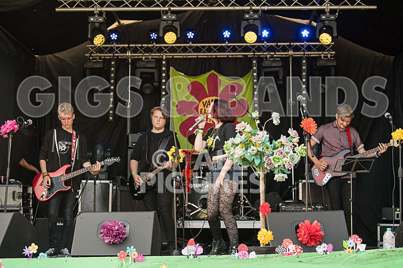 SoPM Vale Earth Fair-26 - SoPM on the VIEWALALU STAGE