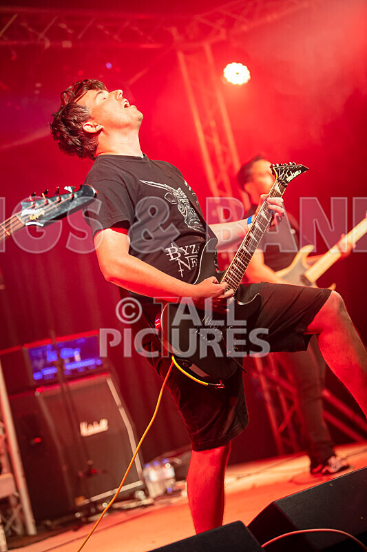 Granite Wolf-81 - GRANITE WOLF