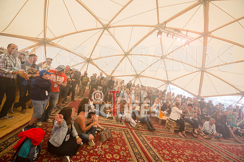 Jersey Live 2016_Scene-142 - JERSEY LIVE 2016_THE SCENE