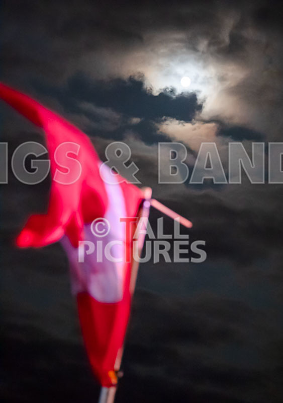 Vale Earth Fair 2018_SCENE-4 - VALE EARTH FAIR 2018_THE SCENE