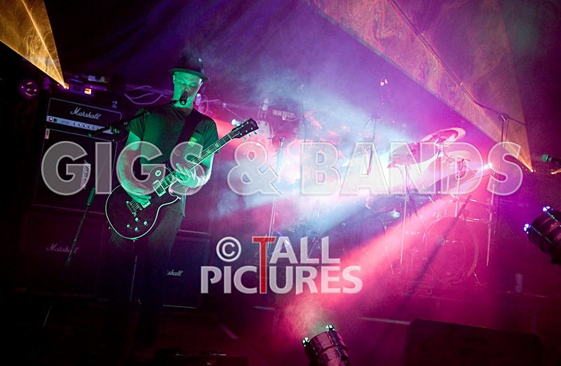 Peppered Ants Legs-5 - PEPPERED ANT LEGS at GREENMAN CHAOS 2009