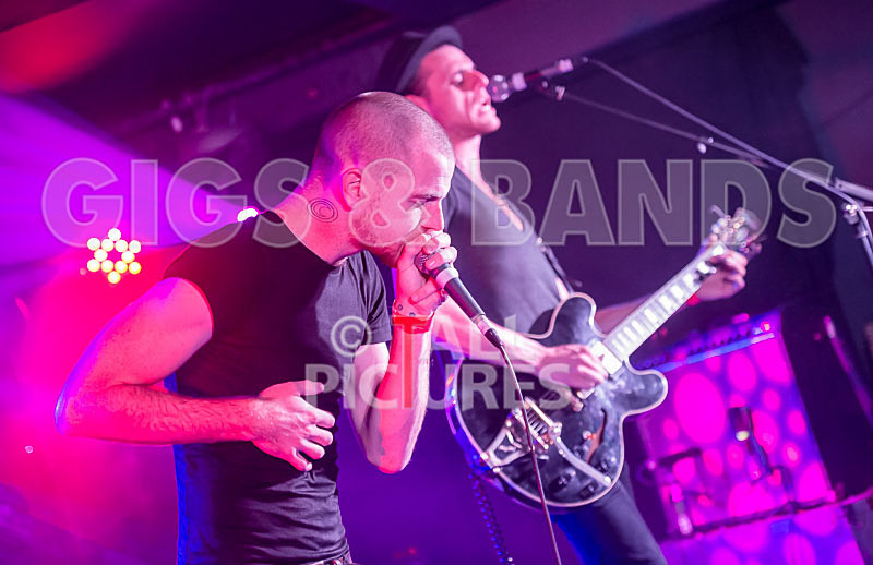 Heymoonshaker-28 - HEYMOONSHAKER