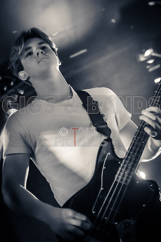 Bad Flower-31 - BAD FLOWER