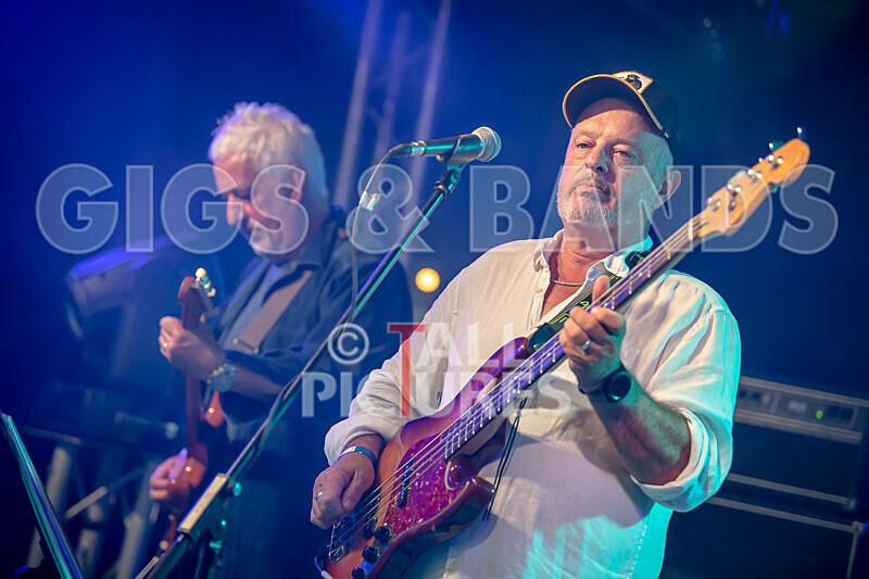 The Vinyls-3 - THE VINYLS