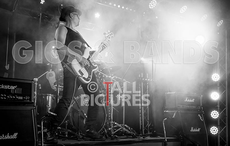 Peppered Ant Legs-214 - PEPPERED ANT LEGS