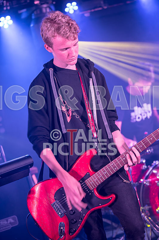 Lady and the Tramps-4 - LADY AND THE TRAMPS